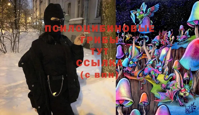 Псилоцибиновые грибы Magic Shrooms Сортавала